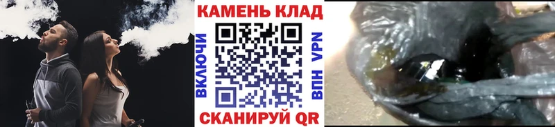 Купить где  Старица  ГАШИШ Ice-O-Lator 