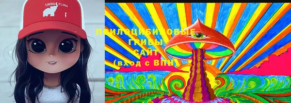 мдпв Михайлов