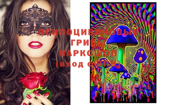 мдпв Михайлов