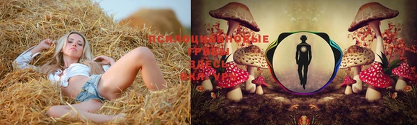 амфетамин Михайловка