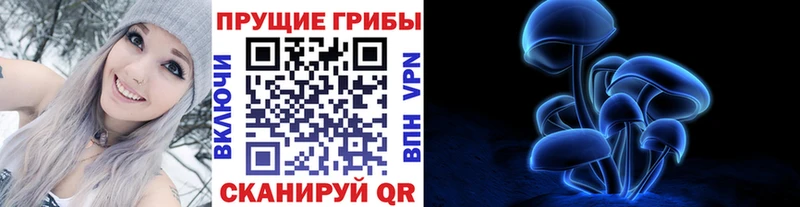 Купить где  Старица  Псилоцибиновые грибы мицелий 